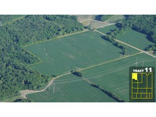 Property photo 57 - Land Auction 1035 Acres In 16 tracts - Farm Land - Sullivan Co. Indiana & Clark Co., Illinois